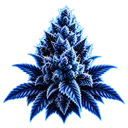 Biriah cannabis bud logo